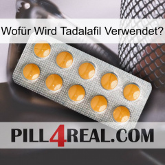 Wofür Wird Tadalafil Verwendeti levitra1